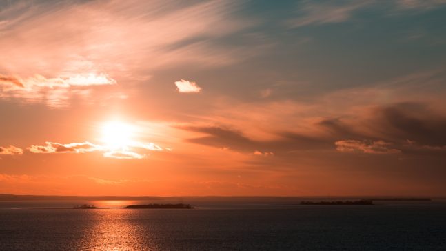 9 iyul — YURiA-FARMning tashkil topgan kunining yilligidir